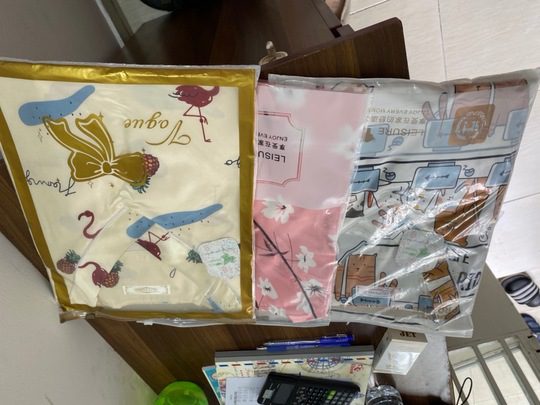 Đồ Ngủ Ngắn Tay Cổ V Flamingo IVY340 photo review